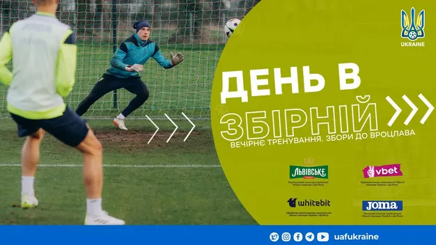 Оновлена інформація щодо травмованих гравців збірної України перед матчем з Ісландією (+відео)